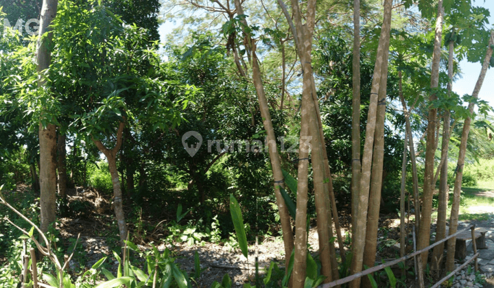 30 Are land for sale in Kutuh Kuta Selatan, Badung 2