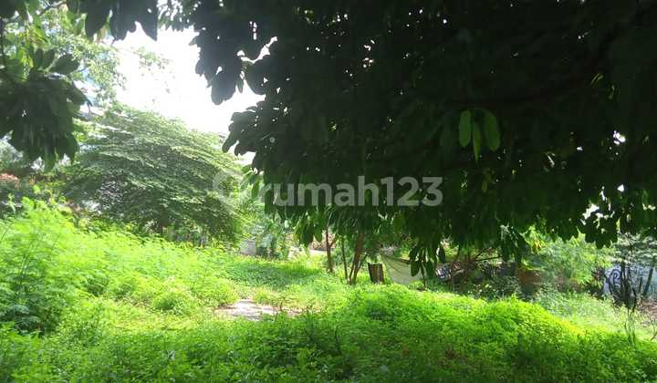 Dijual Tanah Komersil Persis Jalan Raya Utan Jati Jual Bu Hitung Tanah