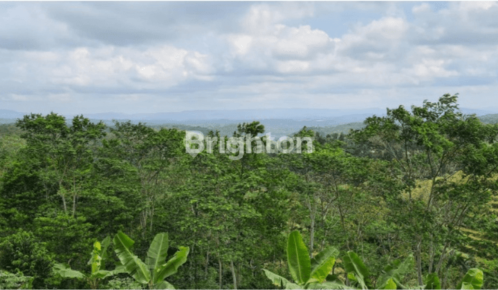 LAHAN PERKEMBUNAN GUNUNG BULEUD 2