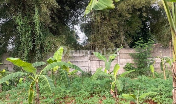 Large Area Land for Rent in Sarua Bojong Sari, Depok Large Area Land for Rent in Sarua Bojong Sari, Depok