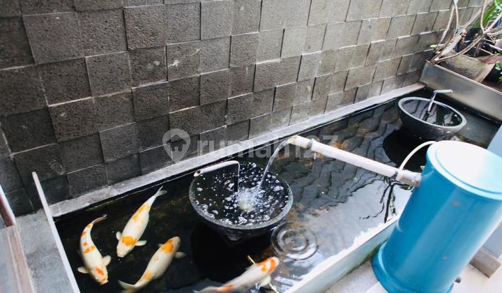 Jual Rumah Cantik Cilandak & Pool Jakarta Selatan 2