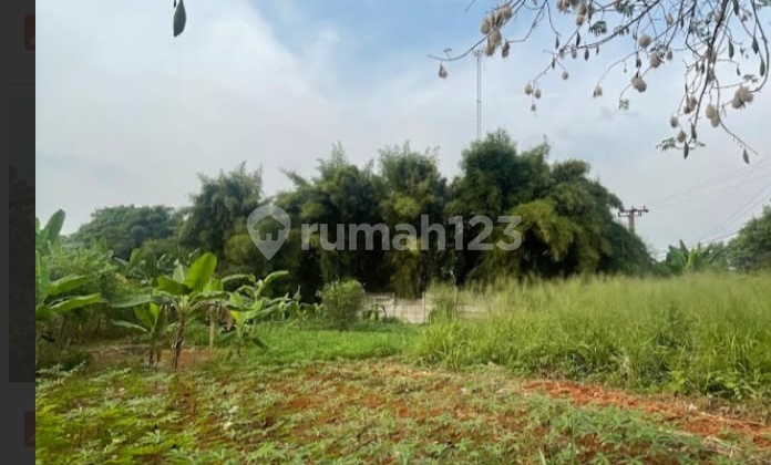 Large Area Land for Rent in Sarua Bojong Sari, Depok Large Area Land for Rent in Sarua Bojong Sari, Depok