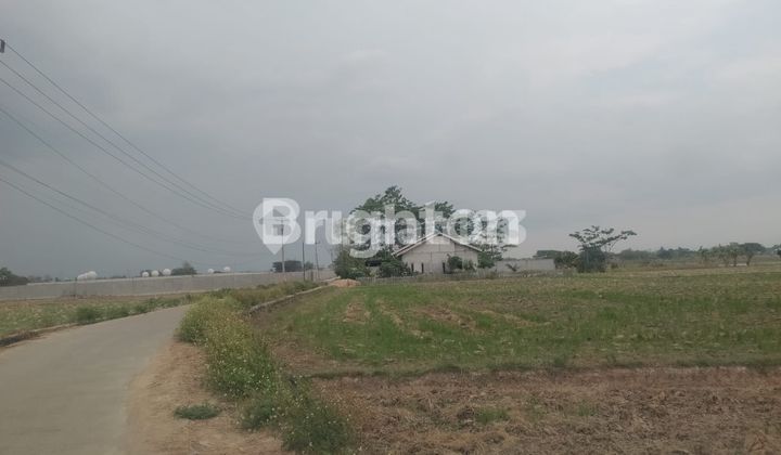 LAHAN/TANAH SAWAH DARAT ZONA INDUSTRI,SERANG BANTEN 2