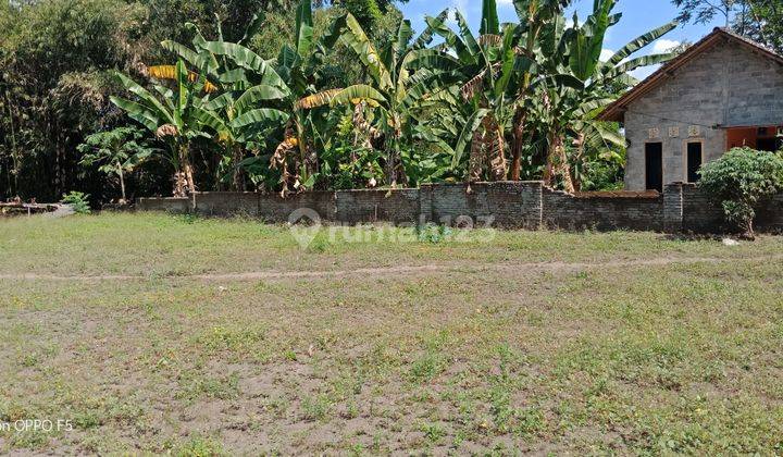 Tanah Murah Klaten Prambanan, Dekat Candi Prambanan, Cocok Hunian 1