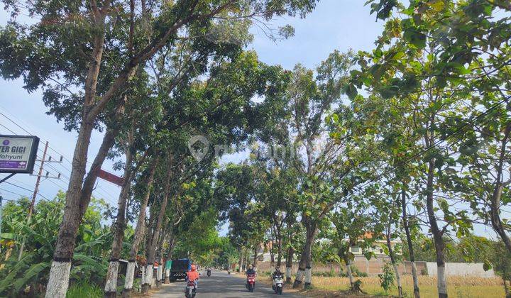 Tanah Murah Magetan Maospati, Dekat Jalan Raya Barat Maospati 1