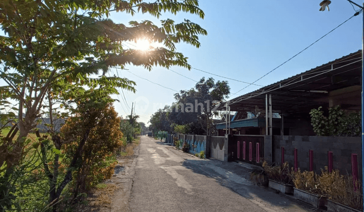 Bu. Tanah Murah Legalitas SHM Pekarangan 4 Menit Pasar Sukolilo  2