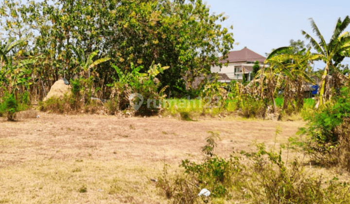 Bu. Kavling Murah Hunian Terbaik Magetan 5 Menit Stasiun Barat  2