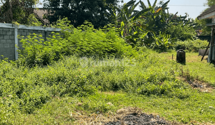 Tanah Murah Prospek Kost Madiun 700 M Sma 3 Taruna Angkasa 2