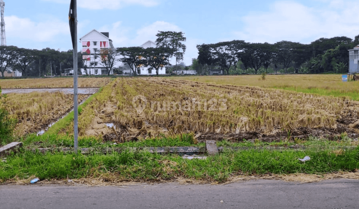 Kavling Murah Prospek Kost Madiun 300m Jl. Urip Sumoharjo  1