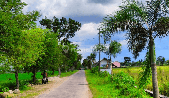 Bu. Kavling Murah Prospek Kost Madiun 750m Sman 1 Nglames  2