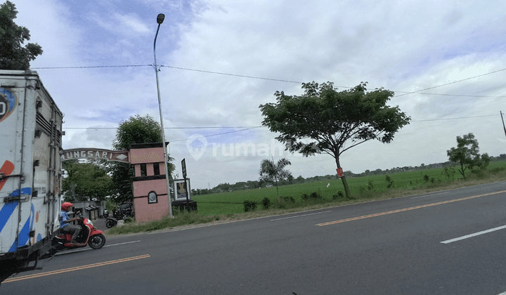 Kavling Murah Madiun Kabupaten 500 M Jl. Raya Madiun Nganjuk  1