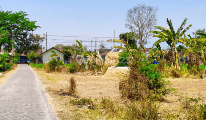 Bu. Tanah Murah Prospek Kost Magetan 5 Menit Lanud Iswahyudi  1