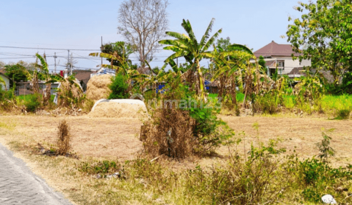 Bu. Tanah Murah Prospek Kost Magetan 5 Menit Lanud Iswahyudi  2