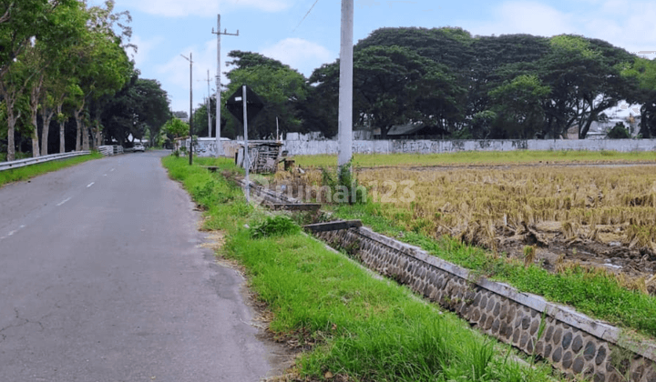 Kavling Murah Madiun 600m Batalyon 501 Bajra Yudha  1