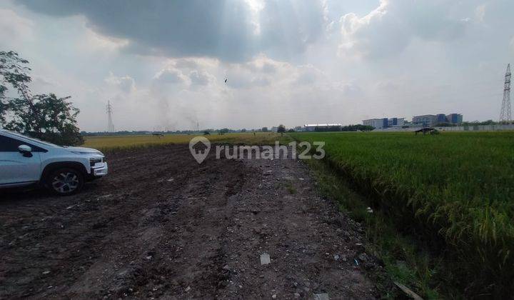 Bu. Tanah Murah Terbaik Madiun 500 M Poltek Kampus 2 Madiun  2