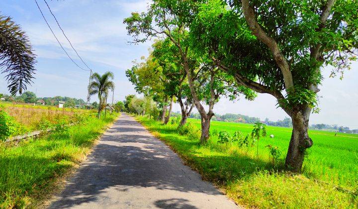 Tanah Murah Madiun Kabupaten 300m Jl. Raya Madiun Nganjuk  1