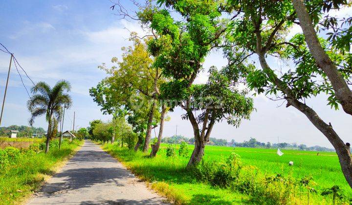 Tanah Murah Madiun Kabupaten 300m Jl. Raya Madiun Nganjuk  2