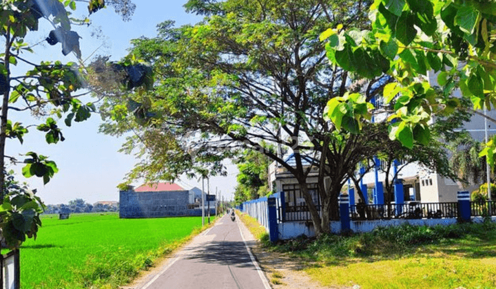 Tanah Murah Kota Madiun 1 Menit Kampus Poltek Madiun 1