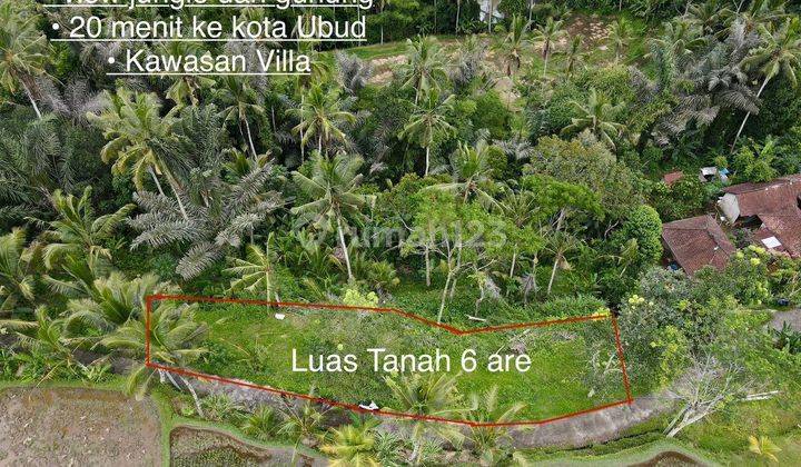Di Jual Tanah di Ubud Tegallalang Sangat Cocok untuk Villa dan Investasi kawasan Tenang  1