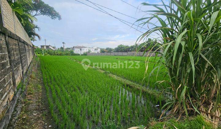 Disewakan Tanah Komersial Di Kawasan Berawa Canggu Lingkungan Vila Hotel Restoran 2