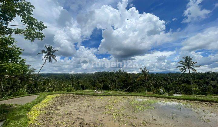 Di Jual Tanah di Ubud Tegallalang Sangat Cocok untuk Villa dan Investasi kawasan Tenang  2