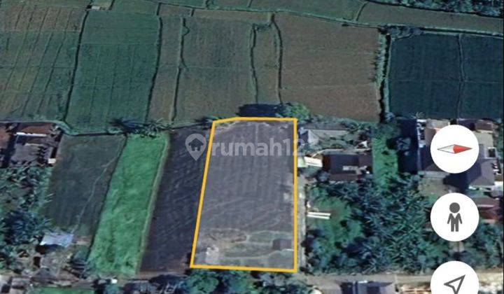 TANAH DISEWAKAN LINGKUNGAN HOTEL DAN VILLA DI UBUD 1