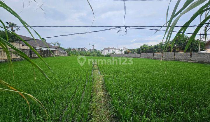 TANAH DIKONTRAKAN KAWASAN PARIWISATA DIBERAWA TIBUBENENG 2