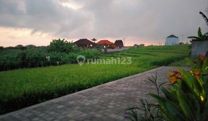 For Rent Villa With Rice Field View In Tibubeneng 2