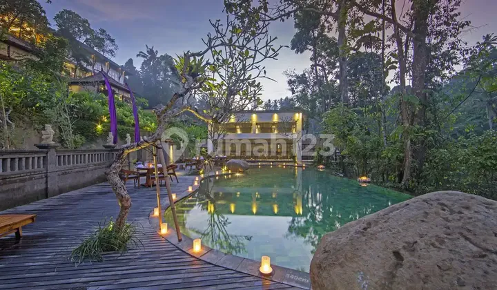 Resor Bintang 4 Pemandangan Hutan di Ubud