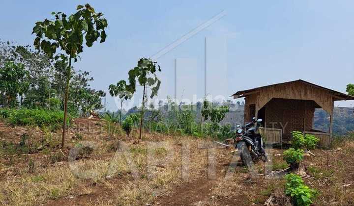 3.5 Hectares of Land in Soreang Ciwidey Area