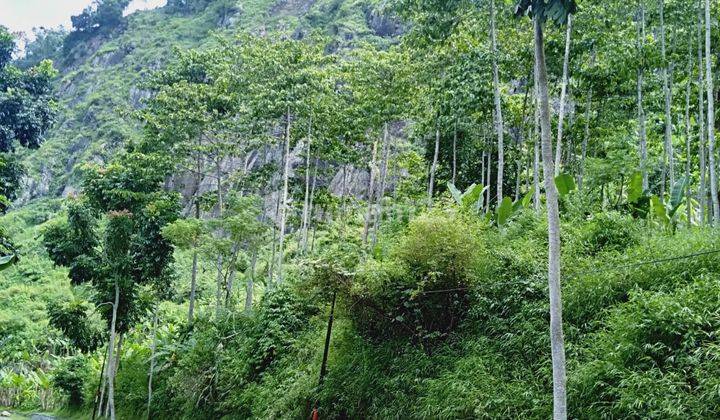 DIJUAL TANAH 2.265 M2 DAERAH CIPONGKOR, CIHAMPELAS, KBB 2