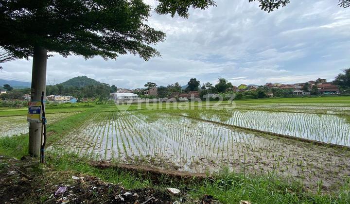 DIJUAL TANAH SAWAH DAERAH SOREANG DIJUAL TANAH SAWAH DAERAH SOREANG