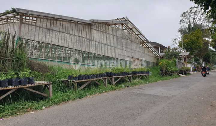 JUAL TANAH LUAS 2.960 M2 DAERAH LEMBANG  1