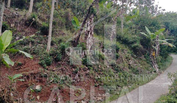 Tanah Strategis 10 Hektar Dekat Jalak Harupat Bandung 1