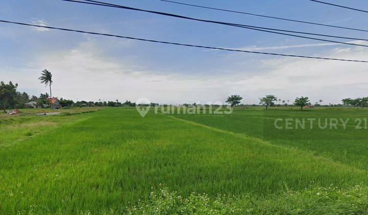 Dijual Tanah 1,1 Ha Di Kawasan Lembang Sari Rajeg 1