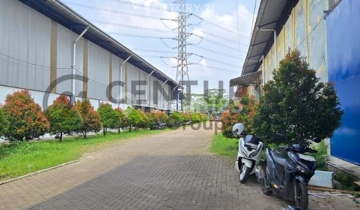 For Rent Warehouse in Cikupa Industrial Area Tangerang Banten For Rent Warehouse in Cikupa Industrial Area Tangerang Banten
