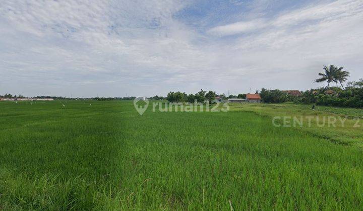 Dijual Tanah 1,1 Ha Di Kawasan Lembang Sari Rajeg 2