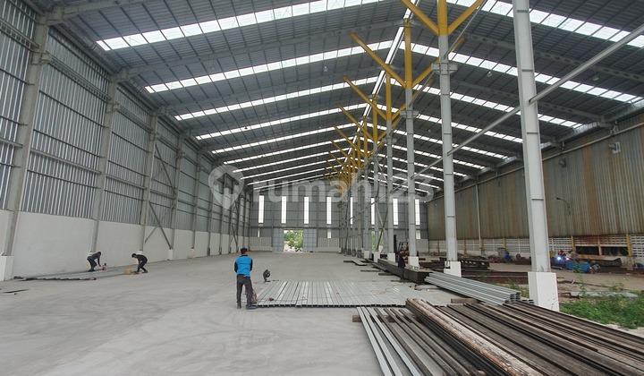 For Rent Fast New Factory High Ceiling