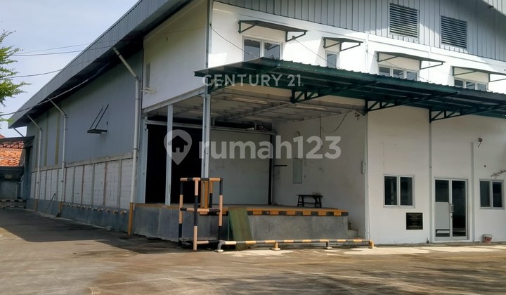 Gudang Jl Waringinkurung Siap Ditempati Gudang Jl Waringinkurung Siap Ditempati