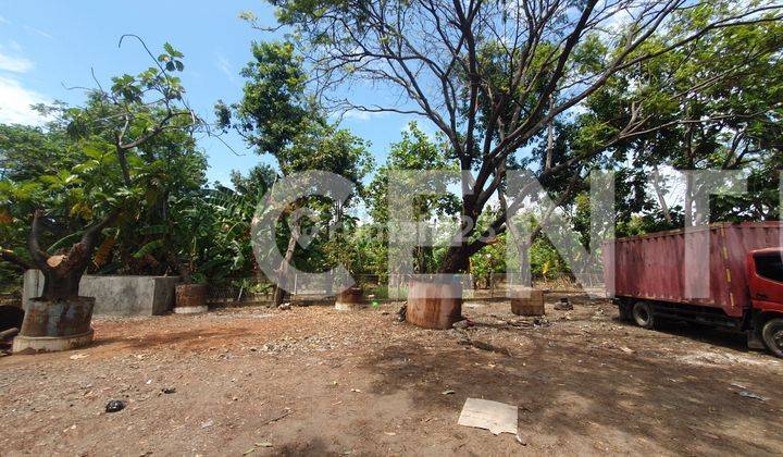 Dijual Tanah Ngantong Sudah Diuruk Di Tegal Alur 2