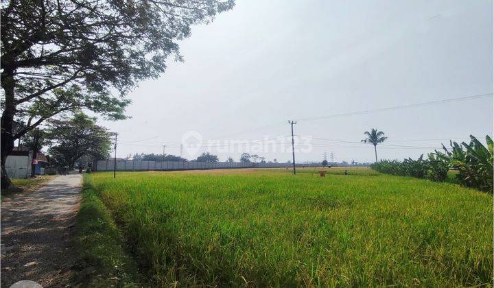 Tanah luas Cocok Untuk Perumahan Di Cianjur 1