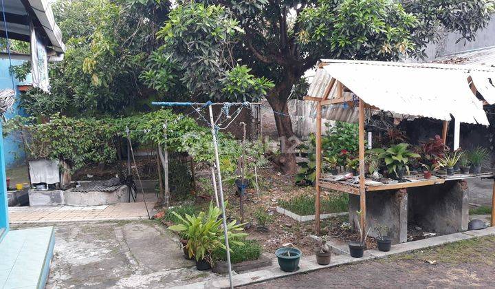 Rumah Dan Toko Siap Huni Lokasi Strategis Rumah SHM Barat 2