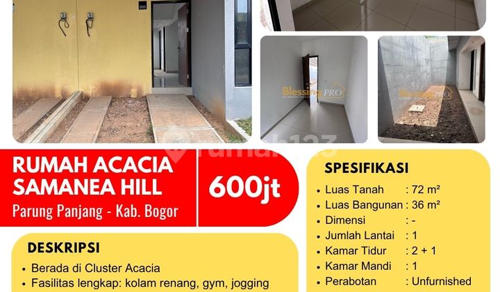 Dijual Cepat Samanea Hill Type Acacia
