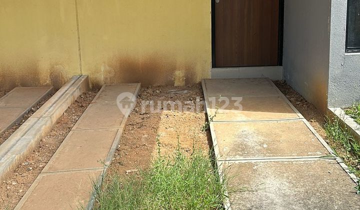 Dijual Cepat Samanea Hill Type Acacia 2