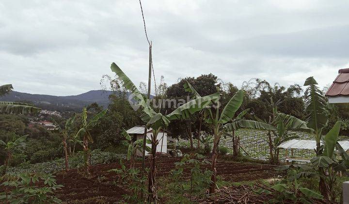 Di Jual Tanah Cocok Untuk Cluster Di Cisarua KBB 1