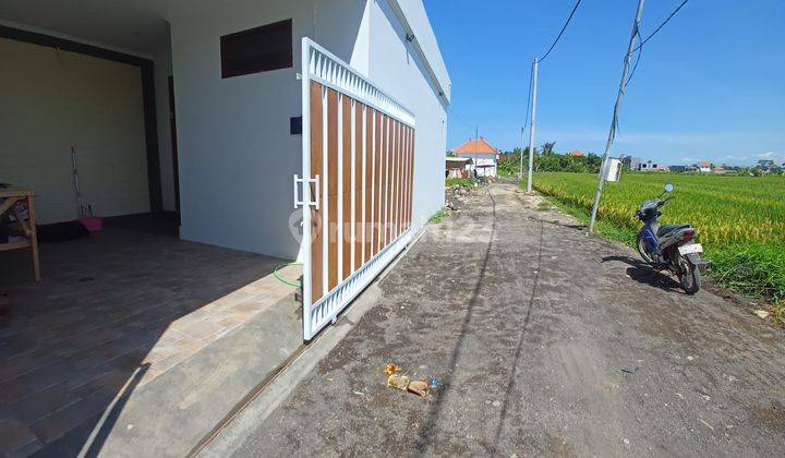 Yearly Rent, 2 Bedrooms Brand New Villas, Furnished, Rice Fields View, Munggu,  2