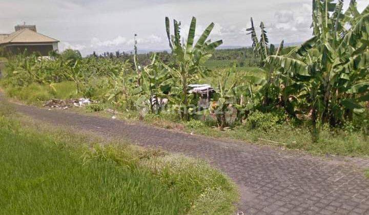 Vacant land for sale on Jalan Umalalang Menegening Badung 930 m²  2