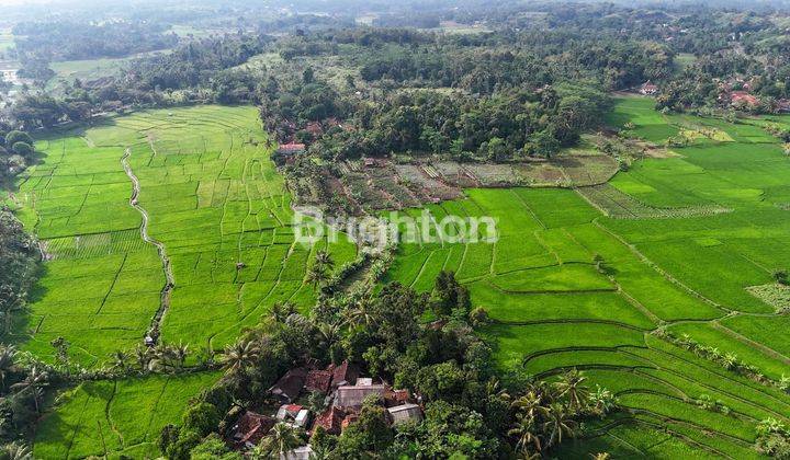 Tanah Cianjur, Jawa Barat 1