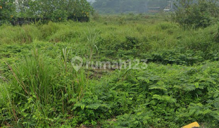 Land 50000 m2 Kelapa Nunggal Cibubur, Bogor Land 50000 m2 Kelapa Nunggal Cibubur, Bogor