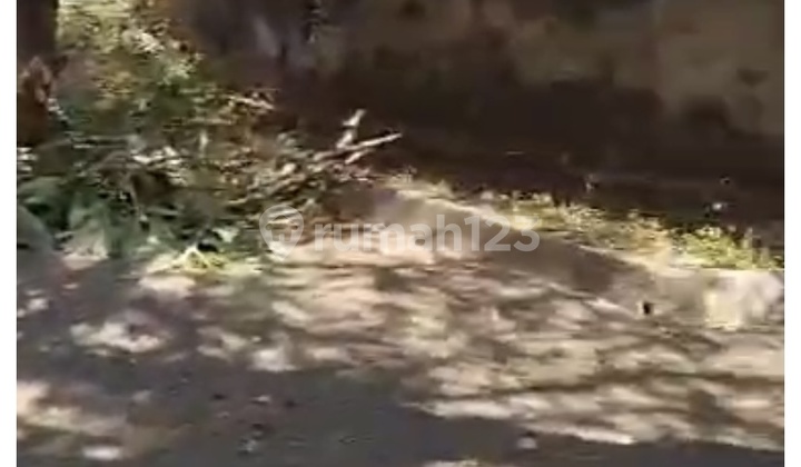 Seminyak, Badung Tanah 2752 M2 SHM